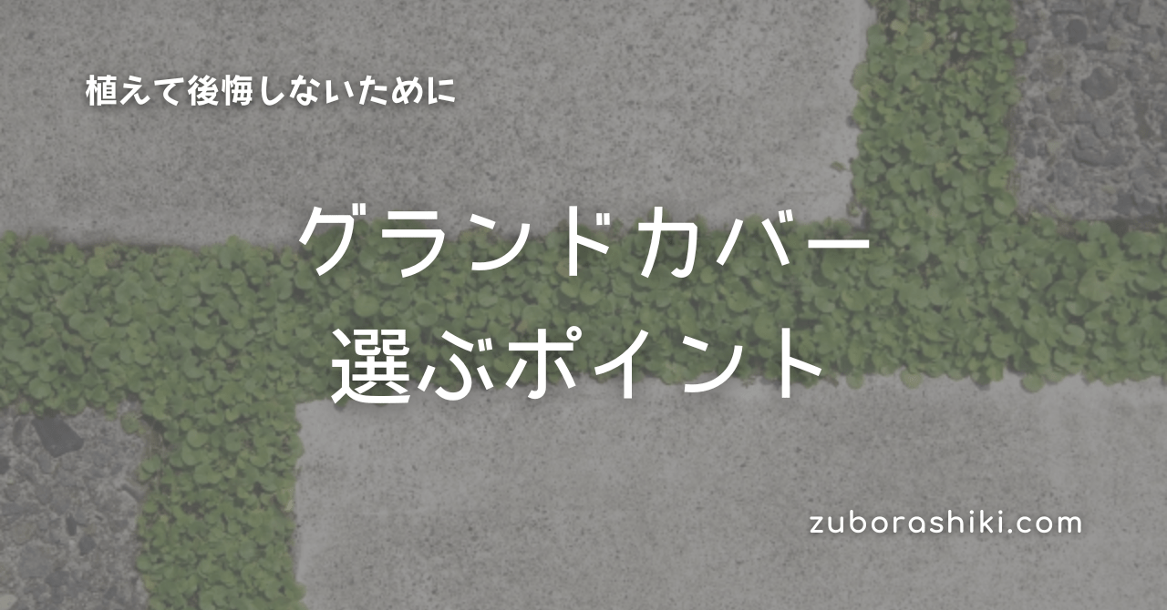 グランドカバー選びとダイカンドラ成長記録 種まき 本葉が出るまで ズボラ式