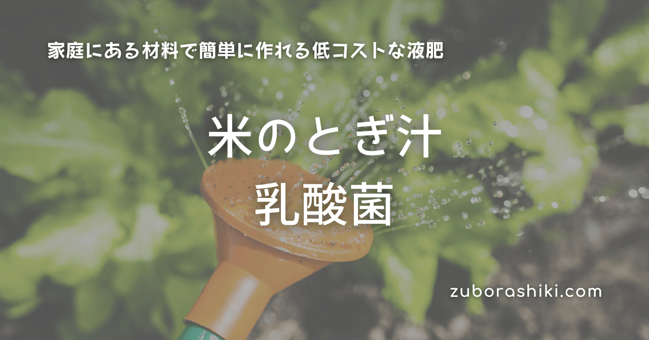 米のとぎ汁乳酸菌 手作り液肥でエコ菜園 ズボラ式